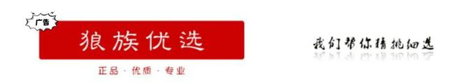 最”！2024手机推荐（终极版）尊龙凯时新版APP拍照手机七宗“(图2)